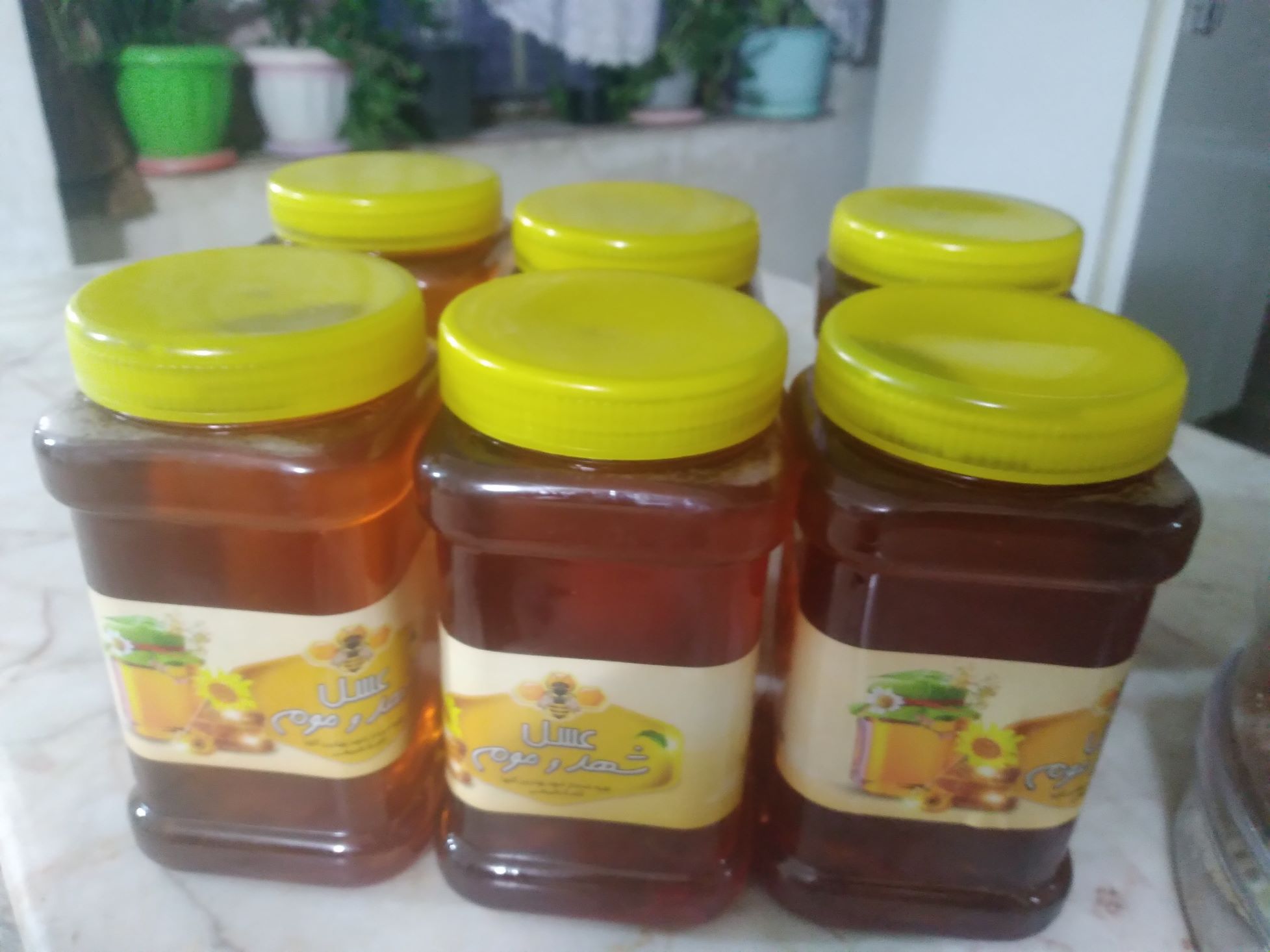 عسل سبلان ۱۰۰درصد طبیعی